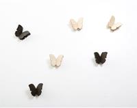 Newbies - Butterflies