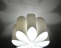 Dahlia Light Shade