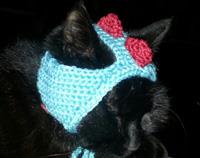 Cute Cat Dinosaur Hat