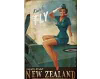 Kiwis Do Fly Print on Canvas by Paul Ny