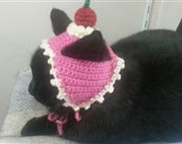 Crochet Cat Dessert Hat