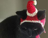 Crochet Santa Claus Hat for Cats