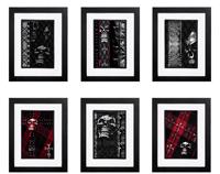 Skull Collection - 6 x Signed Prints