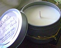 Travel Tins Soy Candles